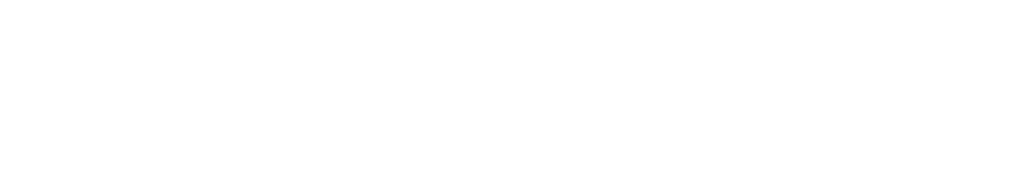 natural elements logo